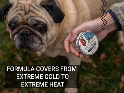 3-in-1 Paw Ointment Dog & Cat Cream, 2-fl oz bottle, 1