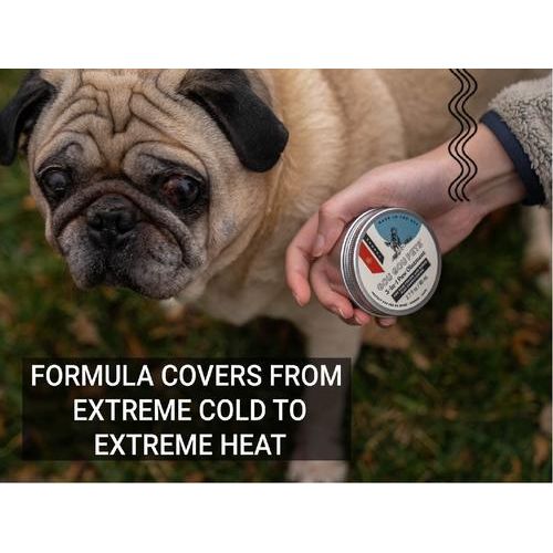 Ungüento 3 en 1 para patas de perros y gatos, botella de 2 onzas líquidas, 1