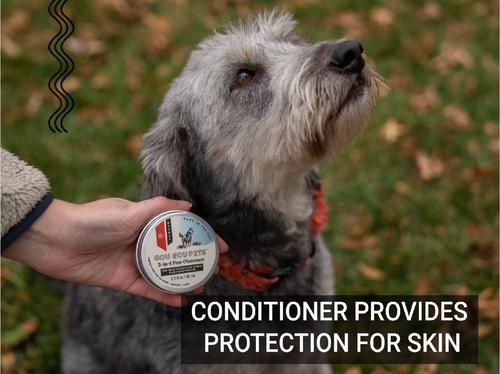 3-in-1 Paw Ointment Dog & Cat Cream, 2-fl oz bottle, 1