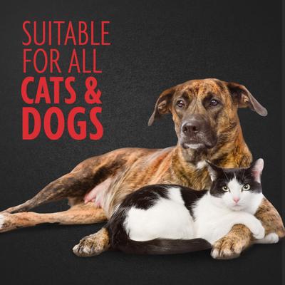 Nail Grinder Replacement Bands, 6-pack