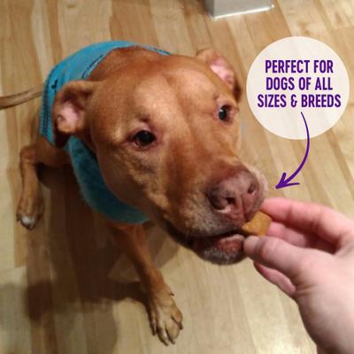 Crunchy WellBars Grain-Free Yogurt, Apples & Bananas Baked Dog Treats, 45-oz bag