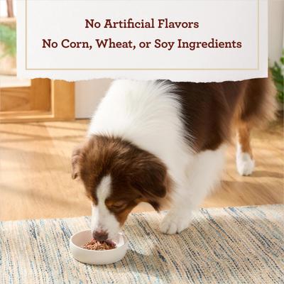 Filet Mignon Flavor Tender Loaf in Gravy, Wet Dog Food, 3.5-oz cup, case of 12