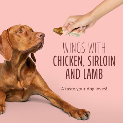 Triple Flavor Wings Sirloin, Lamb, & Chicken Highly Digestible Rawhide Dog Treat Chews, 10 count