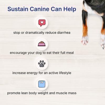 EmerAid Sustain Canine Recovery Food, 3.5-oz bag