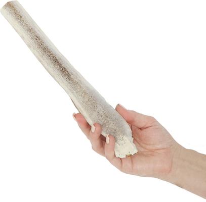 Split Elk Antler Dog Chews, 9.5 - 10.5 inch