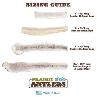 Split Elk Antler Dog Chews, 9.5 - 10.5 inch