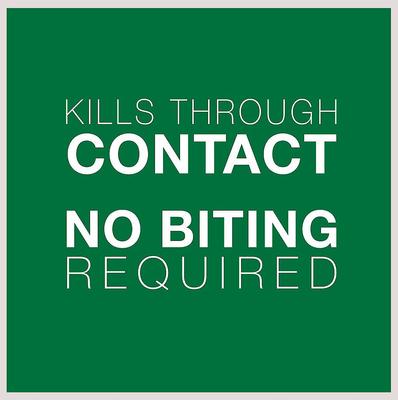 Bundle: Advantage II Flea Spot Treatment for Cats, over 9-lbs + Household Spot & Crevice Spray