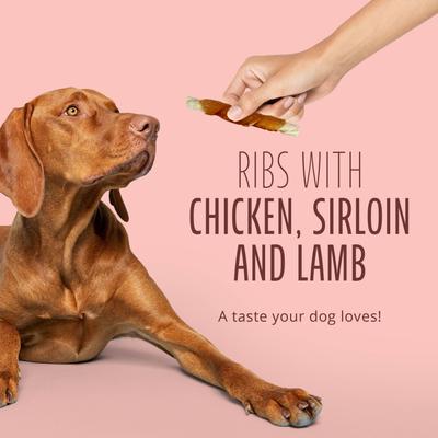 Triple Flavor Ribs Sirloin, Lamb, & Chicken Highly Digestible Rawhide Dog Treat Chews, 10 count