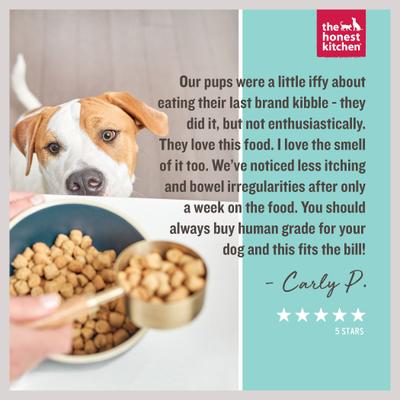 Whole Food Clusters Chicken Recipe Small Breed Grain-Free Dog Food, 2-lb bundle