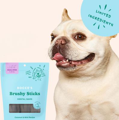 Dailies Brushy Sticks Small Coconut & Mint Recipe Dental Dog Treats, 13-oz bag