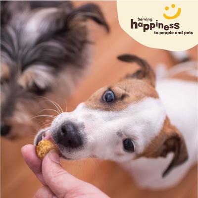 Chik 'n Rice Balls Dog Treats, 1-lb bag