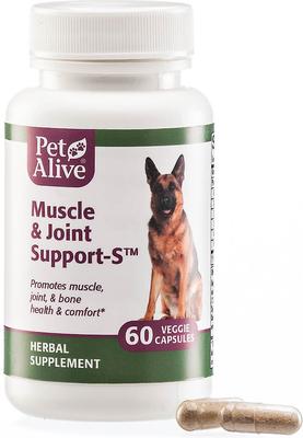 Muscle & Joint Support-S Dog & Cat Supplement, 60 count
