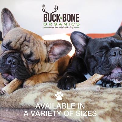 Whole Elk Antler Dog Chews, 4-in