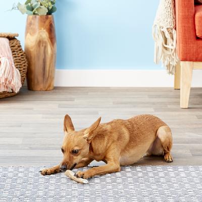 Whole Elk Antler Dog Chews, 4-in