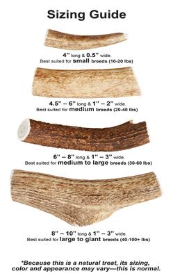 Whole Elk Antler Dog Chews, 4-in