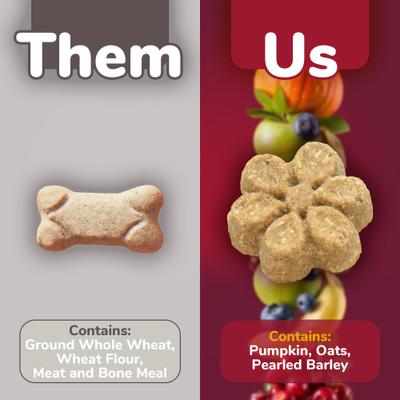 Pumpkin & Cranberry Flavor Crunchy Dog Treats, 7-oz bag