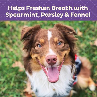 by Wellness Mother's Solutions Minty Fresh Breath Natural Oven-Baked Biscuits Dog Treats, 20-oz bag