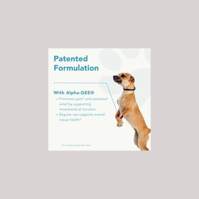 Mobility Medium Dog Supplement, 90 count