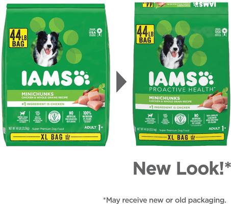 Paquete: Iams Proactive Health MiniChunks - Alimento seco con pollo y cereales integrales en croquetas pequeñas + Pedigree Choice Cuts en salsa (paquete variado) - Alimento húmedo para perros