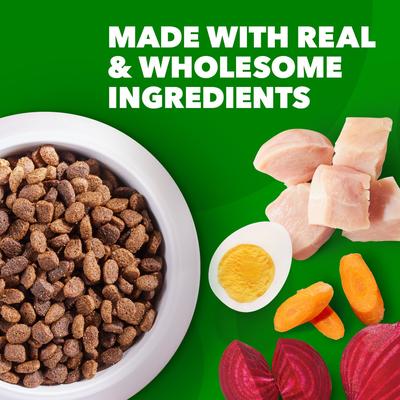 Paquete: Iams Proactive Health MiniChunks - Alimento seco con pollo y cereales integrales en croquetas pequeñas + Pedigree Choice Cuts en salsa (paquete variado) - Alimento húmedo para perros