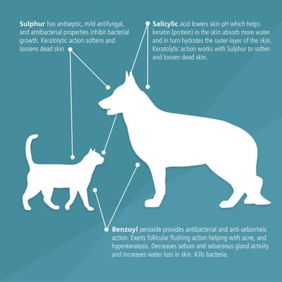 Antiseptic & Antifungal Medicated Spray for Dogs, Cats & Horses, 8-oz bottle