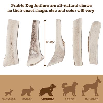 Split Chicken Flavor Antler Dog Chew, 7 - 8 inch