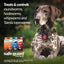 Dewormer for Hookworms, Roundworms, Tapeworms & Whipworms for Large Breed Dogs, 3 day treatment