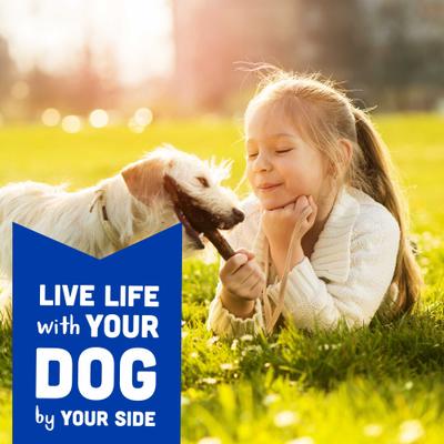 Wag More Bark Less Bacon, Cheese & Apples Soft Chew Dog Treats, 6-oz bag