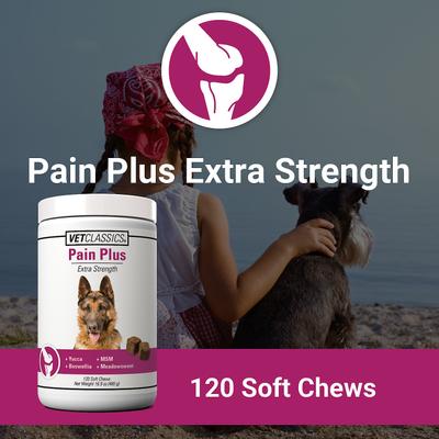 Pain Plus Extra Strength Soft Chews Dog Supplement, 120 count