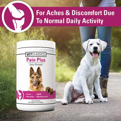Pain Plus Extra Strength Soft Chews Dog Supplement, 120 count