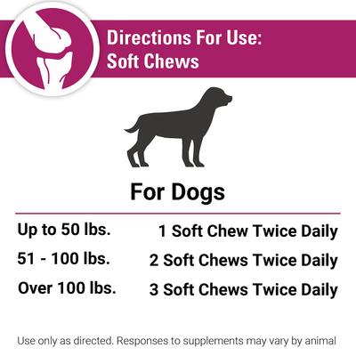 Pain Plus Extra Strength Soft Chews Dog Supplement, 120 count
