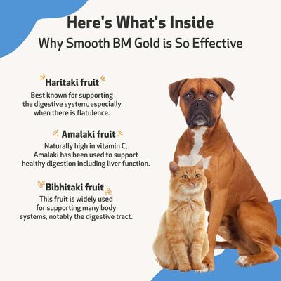 Smooth BM GOLD Bacon Flavored Liquid Digestive Supplement for Cats & Dogs, 4-oz bottle