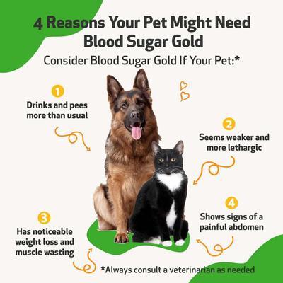 Blood Sugar GOLD Bacon Flavored Liquid Diabetes Supplement for Dogs & Cats, 4-oz bottle