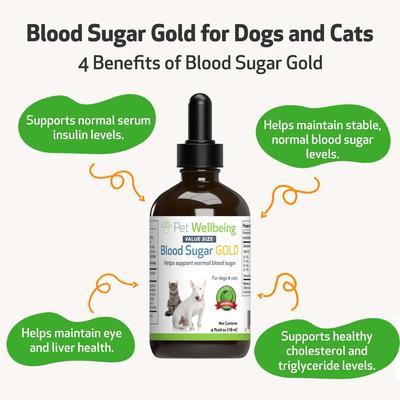Blood Sugar GOLD Bacon Flavored Liquid Diabetes Supplement for Dogs & Cats, 4-oz bottle