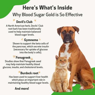 Blood Sugar GOLD Bacon Flavored Liquid Diabetes Supplement for Dogs & Cats, 4-oz bottle
