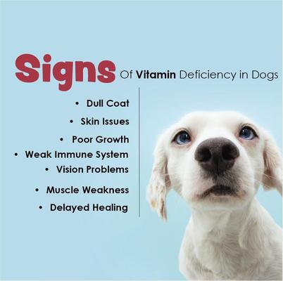 Liver Flavored Multivitamin for Dogs, 250 count