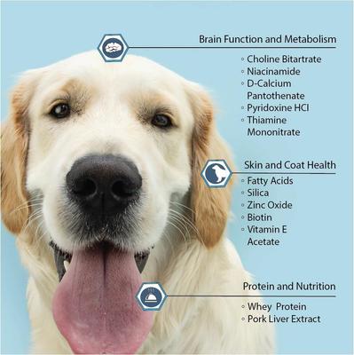 Liver Flavored Multivitamin for Dogs, 250 count