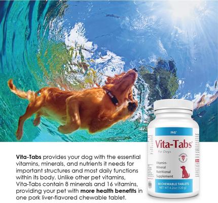Liver Flavored Multivitamin for Dogs, 250 count