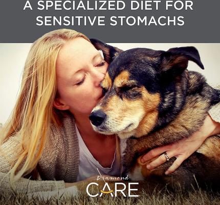 Care Sensitive Stomach Formula Adult Grain-Free Dry Dog Food, 25-lb bag