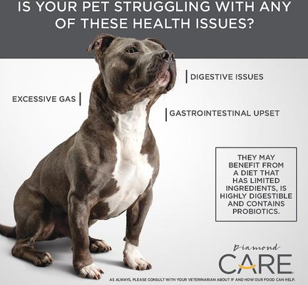 Care Sensitive Stomach Formula Adult Grain-Free Dry Dog Food, 25-lb bag