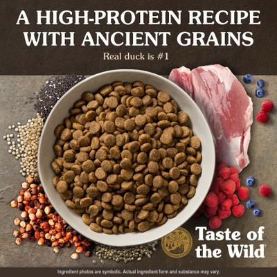 Ancient Wetlands with Ancient Grains Dry Dog Food, 28-lb bag