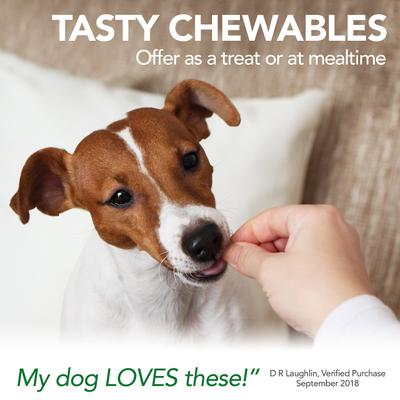 Aches + Pains Vet Formulated for Dog Occasional Discomfort Hip & Joint Support Chew Supplement for Dogs, 150 count