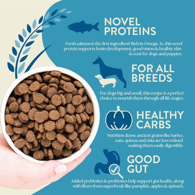 Unrefined Smoked Salmon with Ancient Grains & Superfoods Dry Dog Food, 25-lb bag