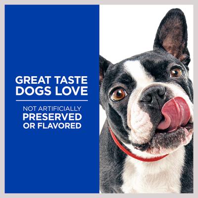 Natural Jerky Mini-Strips with Real Chicken Dog Treats, 7.1-oz bag