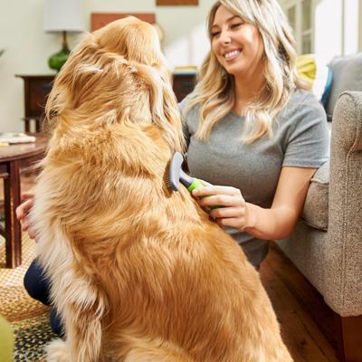 Shedding Rake Dog Brush, One Size