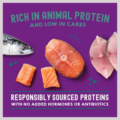 Carnivore Cravings Morsels'N'Gravy Salmon & Mackerel Recipe Cat Food, 2.8-oz pouch, case of 12