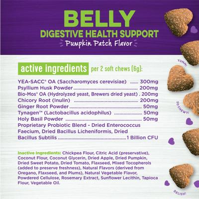 Bundle: Wellness Belly Digestive Health Support Pumpkin Flavor Chew Supplements + CORE Wholesome Grains Whitefish & Brown Rice Recipe Dry Dog Food