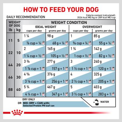Selected Protein Potato & Rabbit Formula Adult Dry Dog Food, 25-lb bag