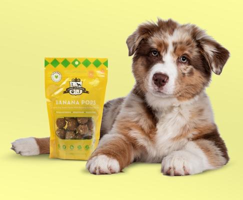 Banana Pops Soft & Chewy Dog Treats, 6-oz bag