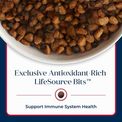 Basics Skin & Stomach Care Adult Salmon & Potato Recipe Dry Dog Food, 24-lb bag